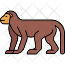 پیش‌نمایش فایل monkey-6863968 از پک سال نو چینی