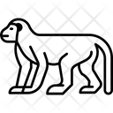 پیش‌نمایش فایل monkey-6864093 از پک سال نو چینی
