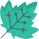 پیش‌نمایش فایل maple-leaf-7184233 از پک پاییز