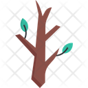 پیش‌نمایش فایل trees-7184244 از پک پاییز