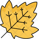 پیش‌نمایش فایل maple-leaf-7165950 از پک پاییز
