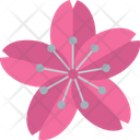 پیش‌نمایش فایل sakura-flower-7303373 از پک ژاپن