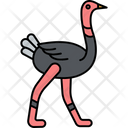پیش‌نمایش فایل ostrich-7771475 از پک حیوانات