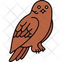 پیش‌نمایش فایل owl-7771485 از پک حیوانات