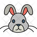 پیش‌نمایش فایل rabbit-7771496 از پک حیوانات
