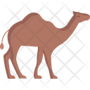 پیش‌نمایش فایل camel-8154974 از پک ماه رمضان مبارک