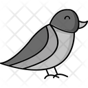 پیش‌نمایش فایل bird-8195690 از پک بهار