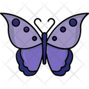 پیش‌نمایش فایل butterfly-8195693 از پک بهار