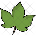 پیش‌نمایش فایل leaves-8195711 از پک بهار