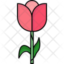 پیش‌نمایش فایل tulip-8195732 از پک بهار