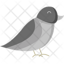 پیش‌نمایش فایل bird-8214362 از پک بهار