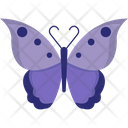 پیش‌نمایش فایل butterfly-8214365 از پک بهار