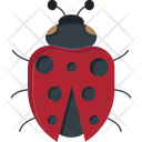 پیش‌نمایش فایل ladybug-8214382 از پک بهار