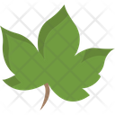 پیش‌نمایش فایل leaves-8214383 از پک بهار