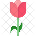 پیش‌نمایش فایل tulip-8214404 از پک بهار