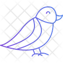 پیش‌نمایش فایل bird-8215743 از پک بهار