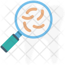 پیش‌نمایش فایل search-bacteria-8 از پک پزشکی و سلامت