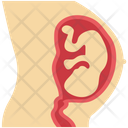 پیش‌نمایش فایل fetus-3 از پک پزشکی و سلامت