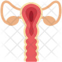 پیش‌نمایش فایل human-ear-2 از پک پزشکی و سلامت