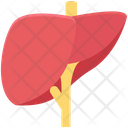 پیش‌نمایش فایل human-liver-1 از پک پزشکی و سلامت