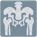 پیش‌نمایش فایل human-ribs-1 از پک پزشکی و سلامت