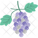 پیش‌نمایش فایل grapes-236 از پک غذا و نوشیدنی