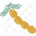پیش‌نمایش فایل peanut-nut از پک غذا و نوشیدنی