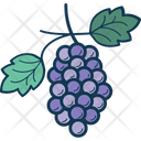 پیش‌نمایش فایل grapes-239 از پک غذا و نوشیدنی