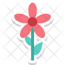 پیش‌نمایش فایل flower-1548 از پک طبیعت و محیط زیست