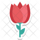پیش‌نمایش فایل flower-1549 از پک طبیعت و محیط زیست