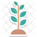 پیش‌نمایش فایل plant-633 از پک طبیعت و محیط زیست