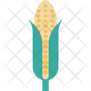 پیش‌نمایش فایل maize-17 از پک طبیعت و محیط زیست
