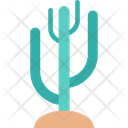 پیش‌نمایش فایل cactus-213 از پک طبیعت و محیط زیست