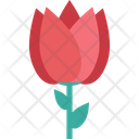 پیش‌نمایش فایل flower-1552 از پک طبیعت و محیط زیست