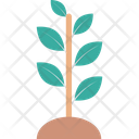 پیش‌نمایش فایل sapling-27 از پک طبیعت و محیط زیست
