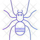 پیش‌نمایش فایل arachnid-9844832 از پک هالووین