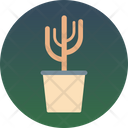 پیش‌نمایش فایل cactus-221 از پک سفر