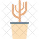 پیش‌نمایش فایل cactus-222 از پک سفر