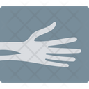 پیش‌نمایش فایل human-spine-bones از پک پزشکی و سلامت