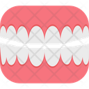 پیش‌نمایش فایل molar-49 از پک پزشکی و سلامت
