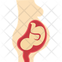 پیش‌نمایش فایل fetus-5 از پک پزشکی و سلامت