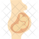 پیش‌نمایش فایل fetus-6 از پک پزشکی و سلامت