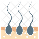 پیش‌نمایش فایل hair-roots-1 از پک پزشکی و سلامت