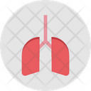 پیش‌نمایش فایل lungs-153 از پک پزشکی و سلامت