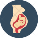 پیش‌نمایش فایل fetus-7 از پک پزشکی و سلامت