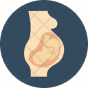 پیش‌نمایش فایل fetus-8 از پک پزشکی و سلامت