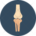 پیش‌نمایش فایل bone-joints-7 از پک پزشکی و سلامت