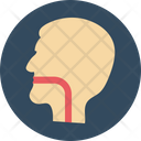 پیش‌نمایش فایل esophagus-24 از پک پزشکی و سلامت