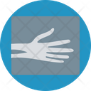 پیش‌نمایش فایل human-spine-bones-1 از پک پزشکی و سلامت