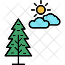 پیش‌نمایش فایل pine-tree-112 از پک طبیعت و پارک